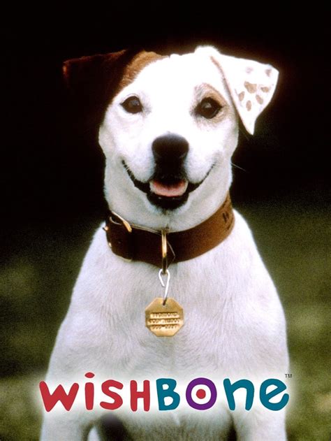 stream wishbone|wishbone full episodes free.